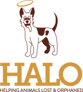 Helping Animals Lost & Orphaned (HALO)