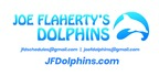 Joe Flaherty's Dolphins