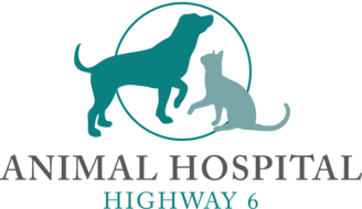 Animal Hospital Highway 6