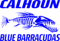 Calhoun Blue Barracudas