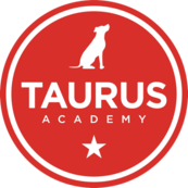 Taurus Academy - McNeil